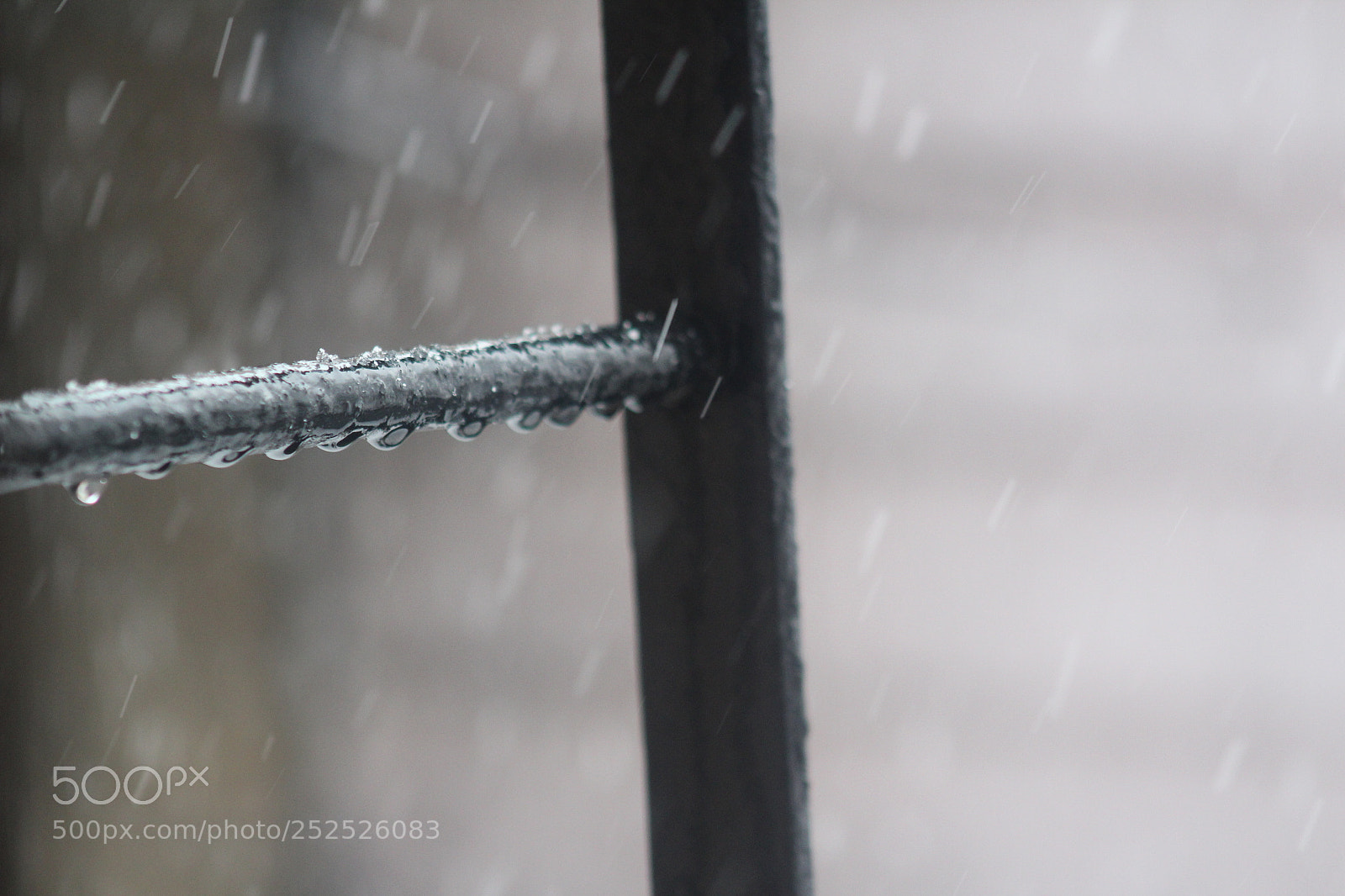 Canon EF 75-300mm f/4-5.6 sample photo. Cold metal photography