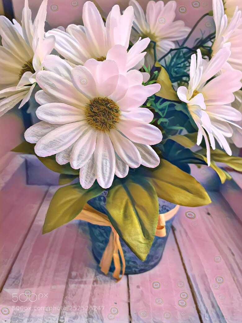 Apple iPhone 6s sample photo. Untitled photography