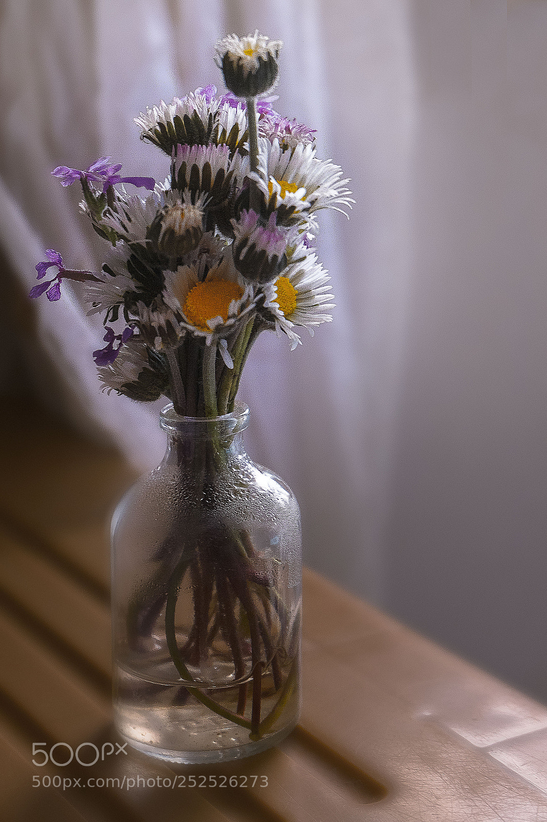 Fujifilm X-E1 sample photo. As smart object photography