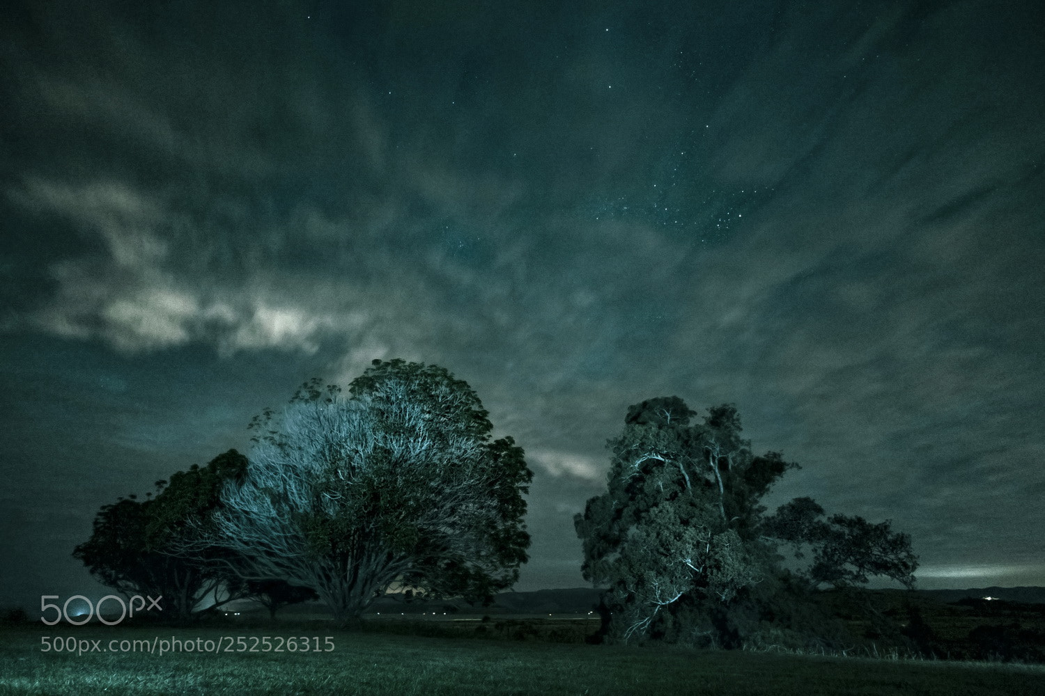 Fujifilm X70 sample photo. Night scene photography