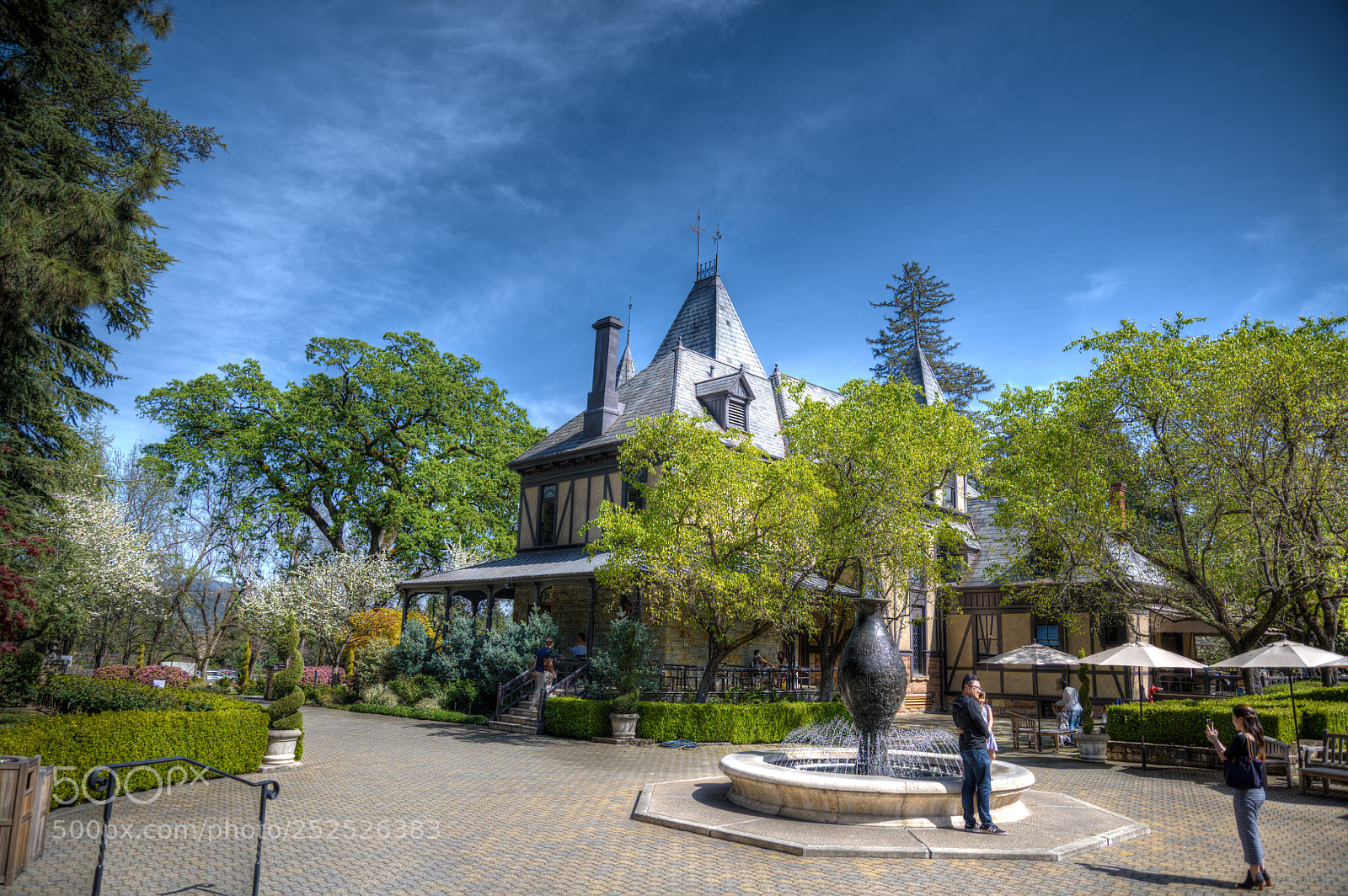 Nikon D850 sample photo. Behringer winery photography