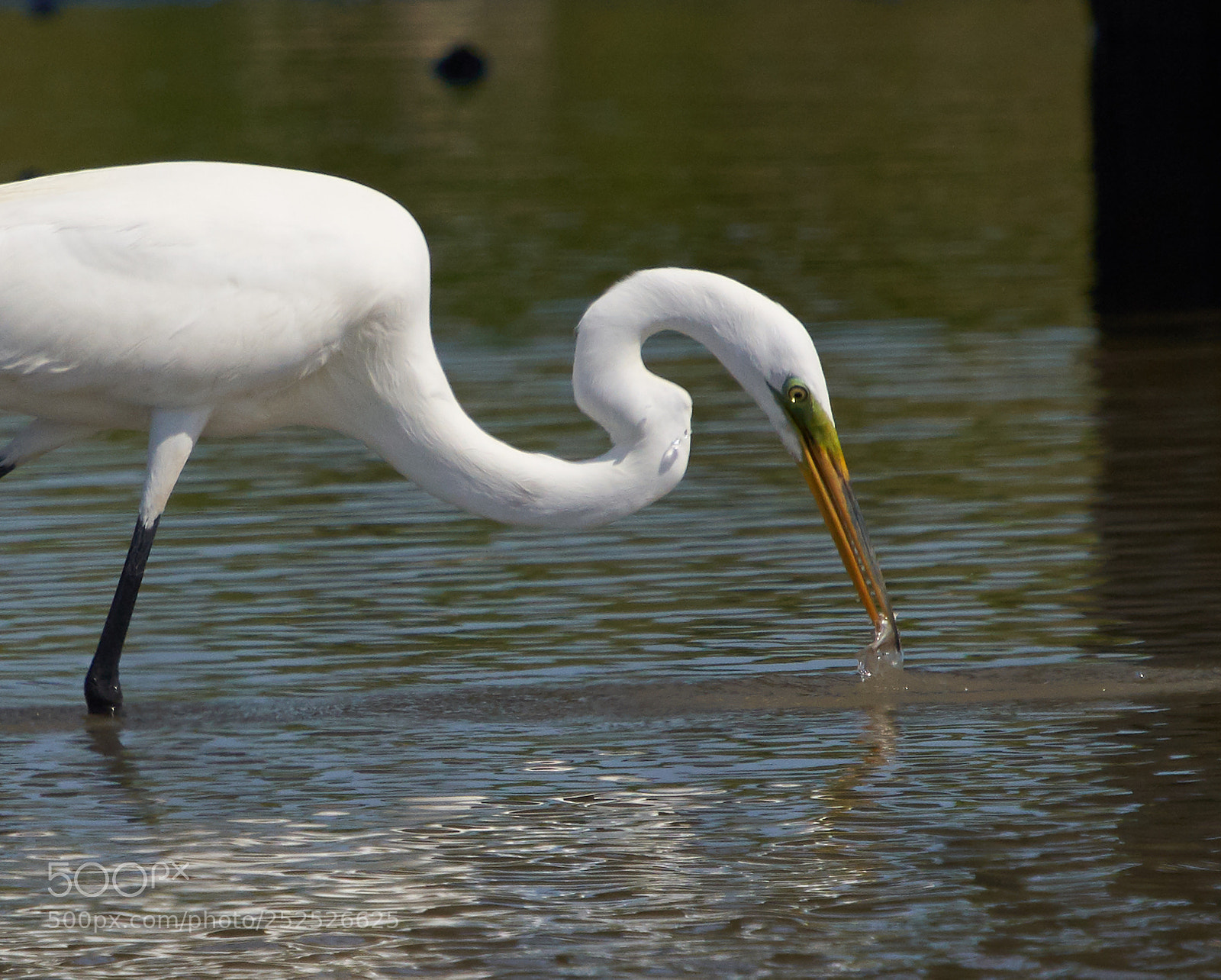 Sony a7R III sample photo. Gone fishin' photography
