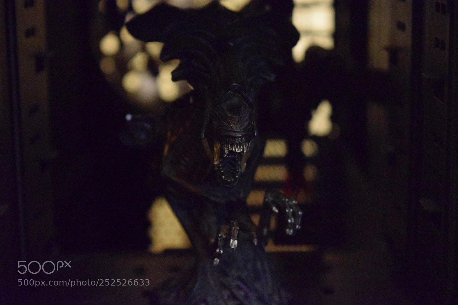 Nikon D3300 sample photo. The queen photography
