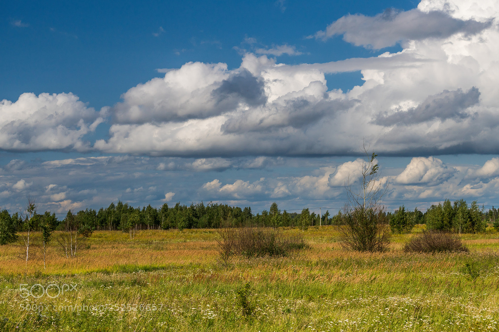 Sony ILCA-77M2 sample photo. Last days of summer photography