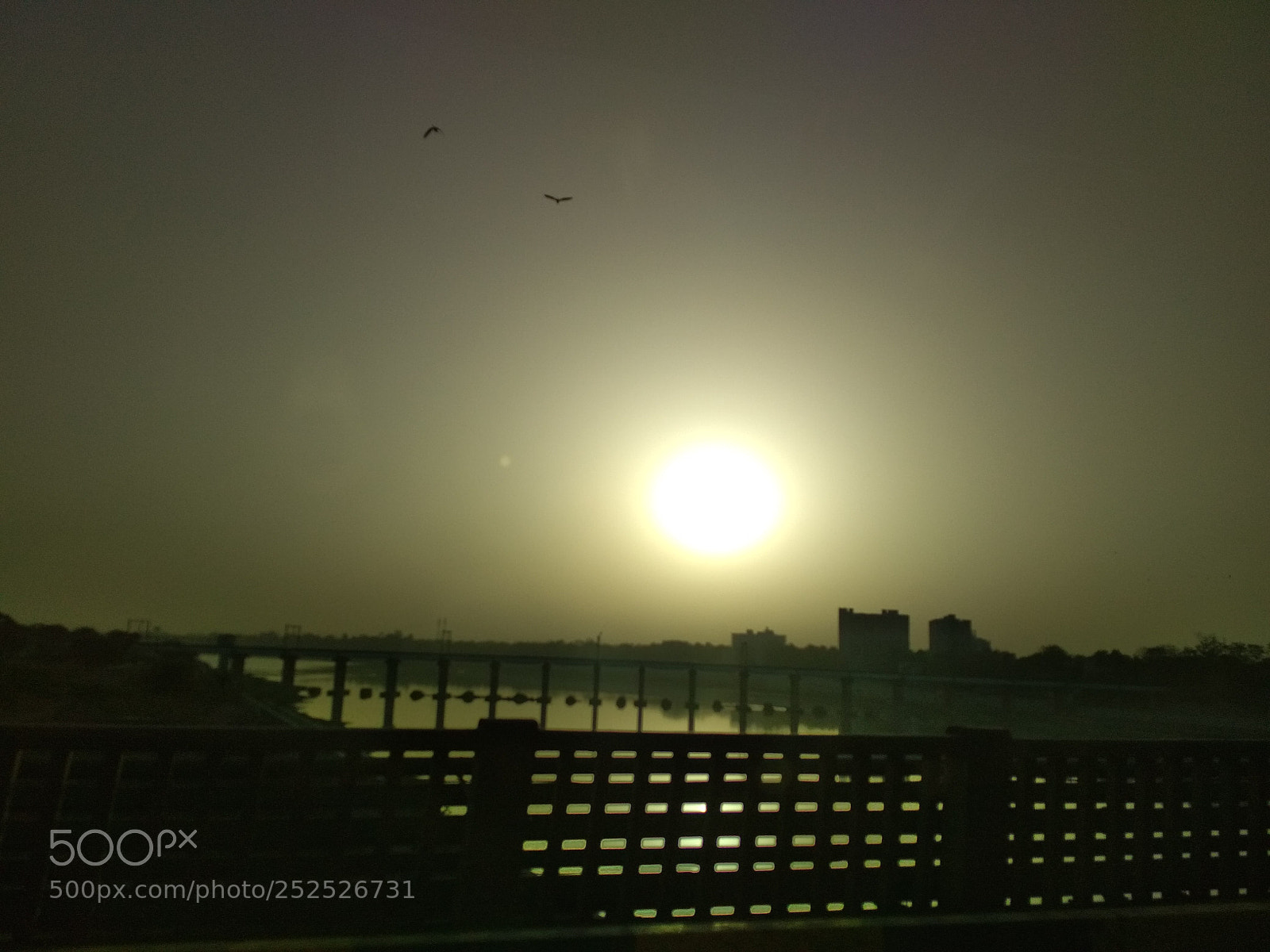 Xiaomi Redmi 4 Pro sample photo. Amdavadi morning photography