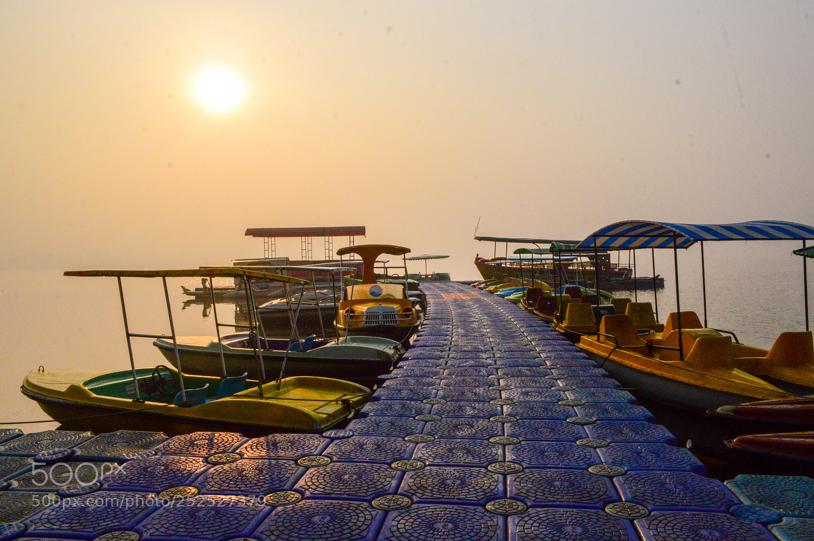 Nikon D3200 sample photo. Good morning photography
