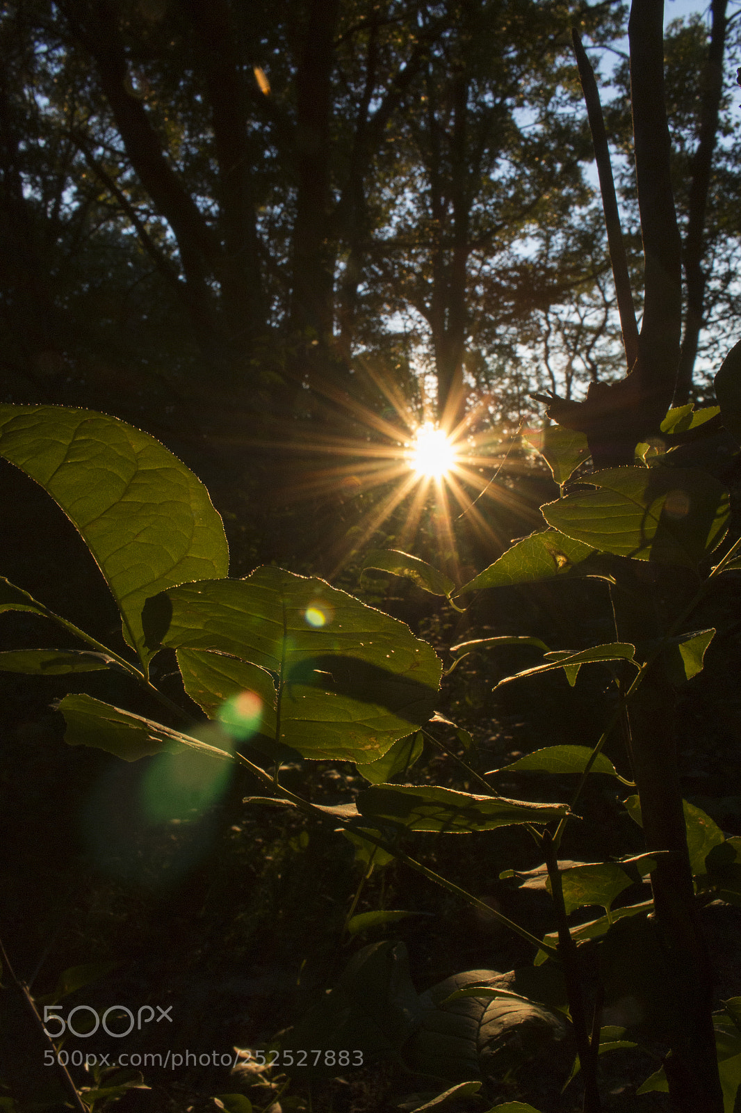 Canon EOS 70D sample photo. Sun down photography