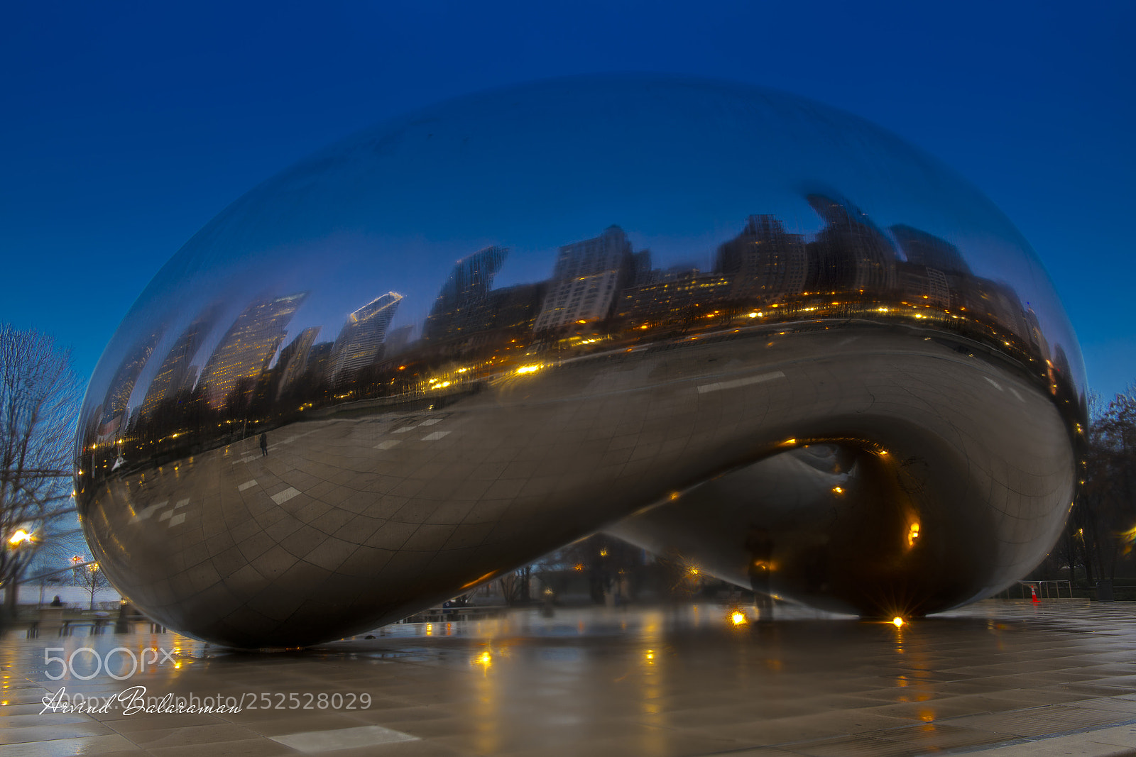 Nikon D850 sample photo. Chicago photography
