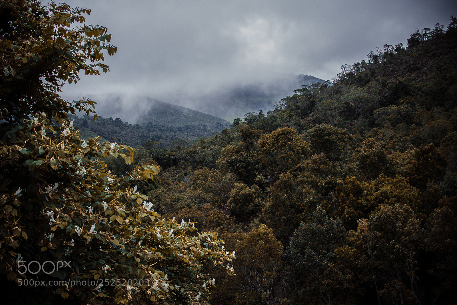Canon EOS 700D (EOS Rebel T5i / EOS Kiss X7i) sample photo. Fog on cunha mountains photography