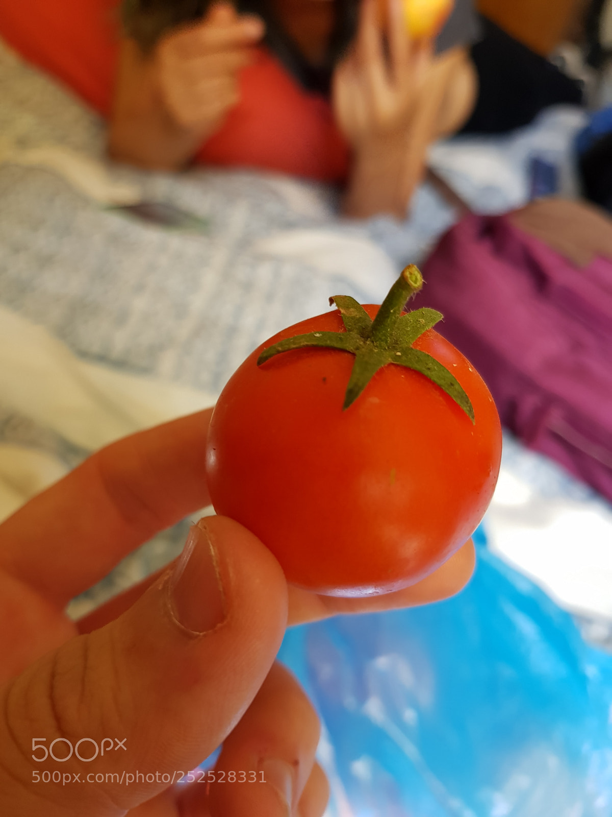 Samsung Galaxy S8 sample photo. Untitled photography
