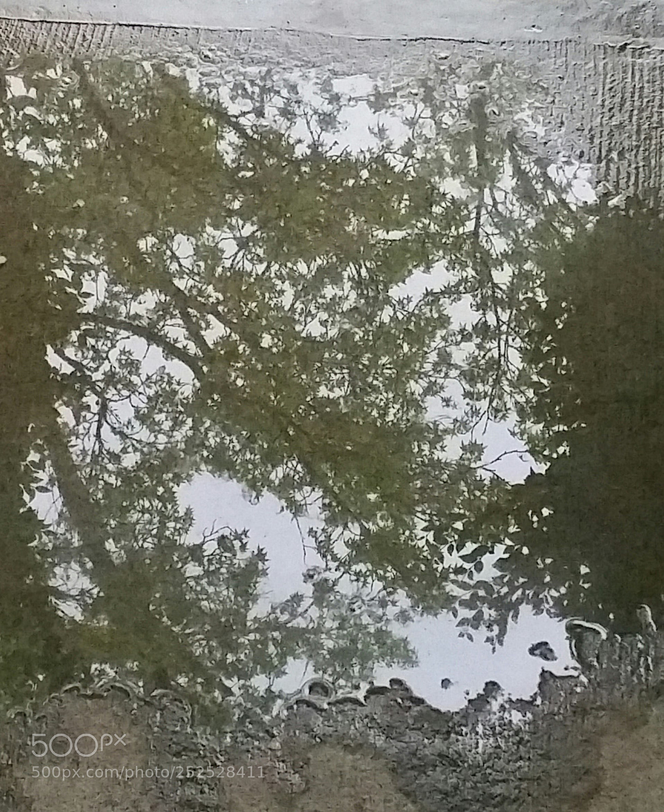 Samsung Galaxy Note4 sample photo. Reflections photography