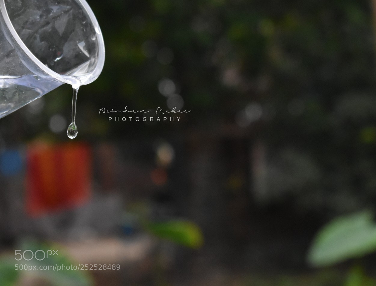 Nikon D5600 sample photo. Untitled photography