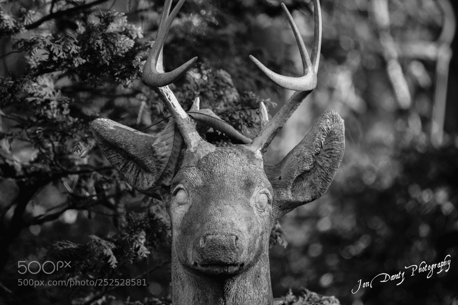 Nikon D5300 sample photo. Fake deer photography
