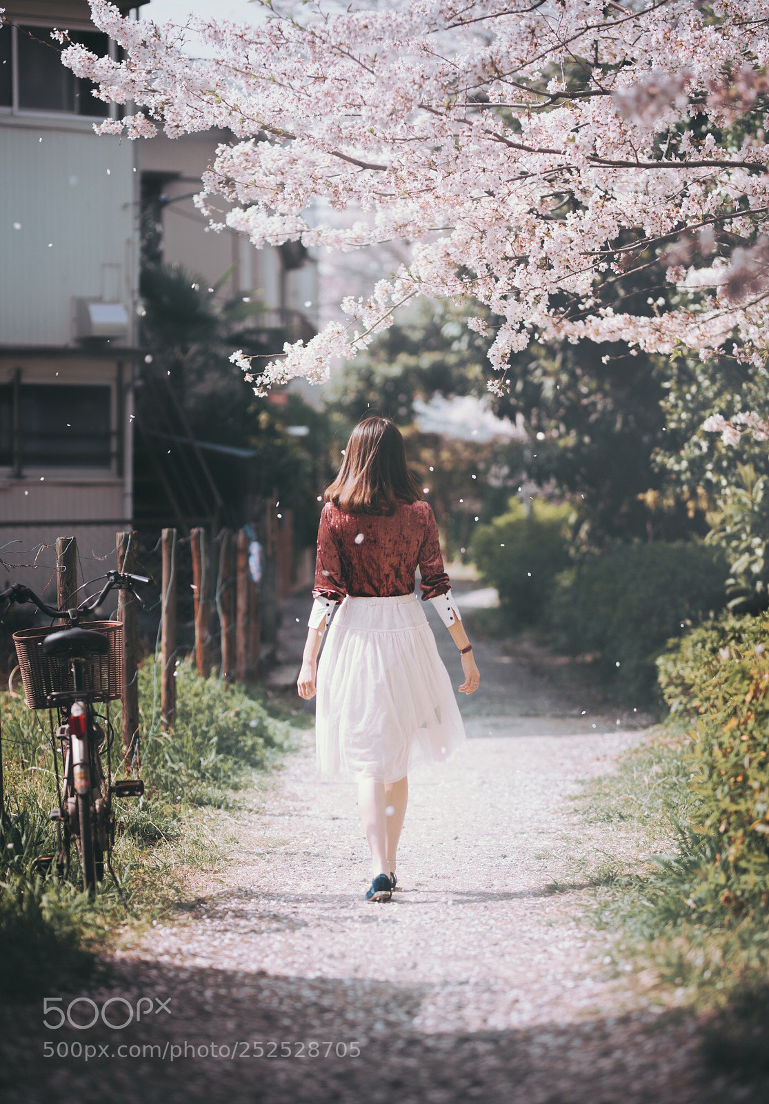 Nikon D850 sample photo. 飘零 photography