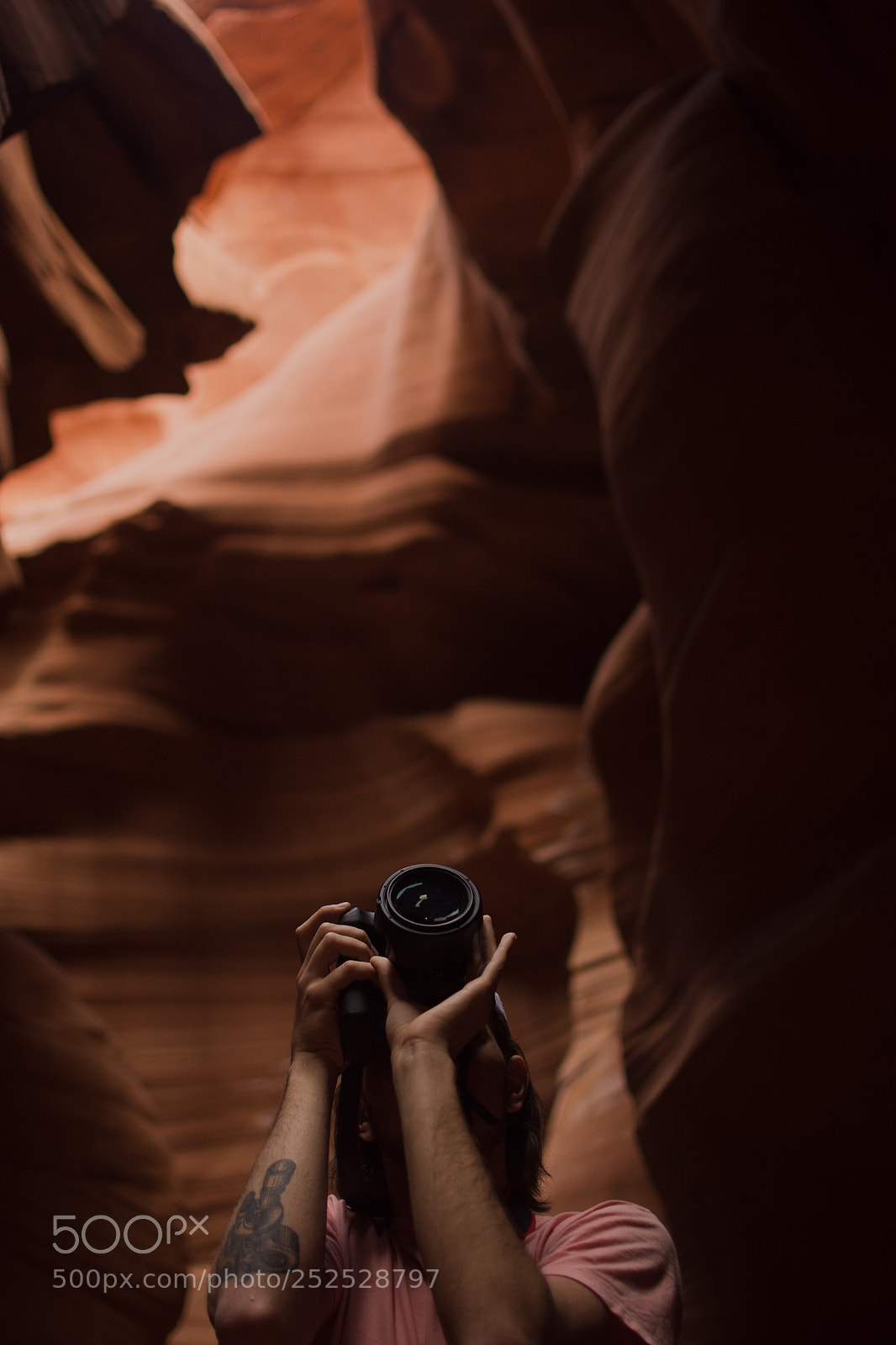Nikon D7200 sample photo. Crisp photography