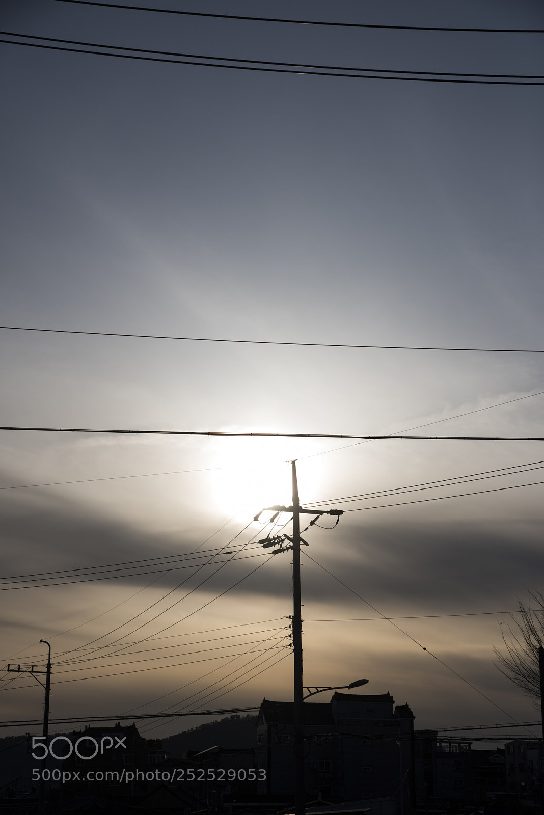 Nikon D810 sample photo. In a town 3 photography