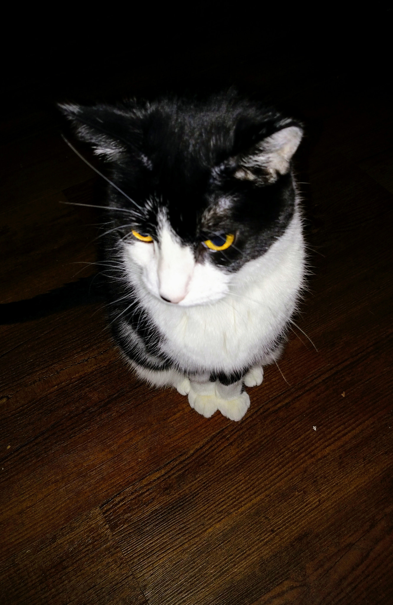 Motorola Droid Turbo sample photo. Charis photography
