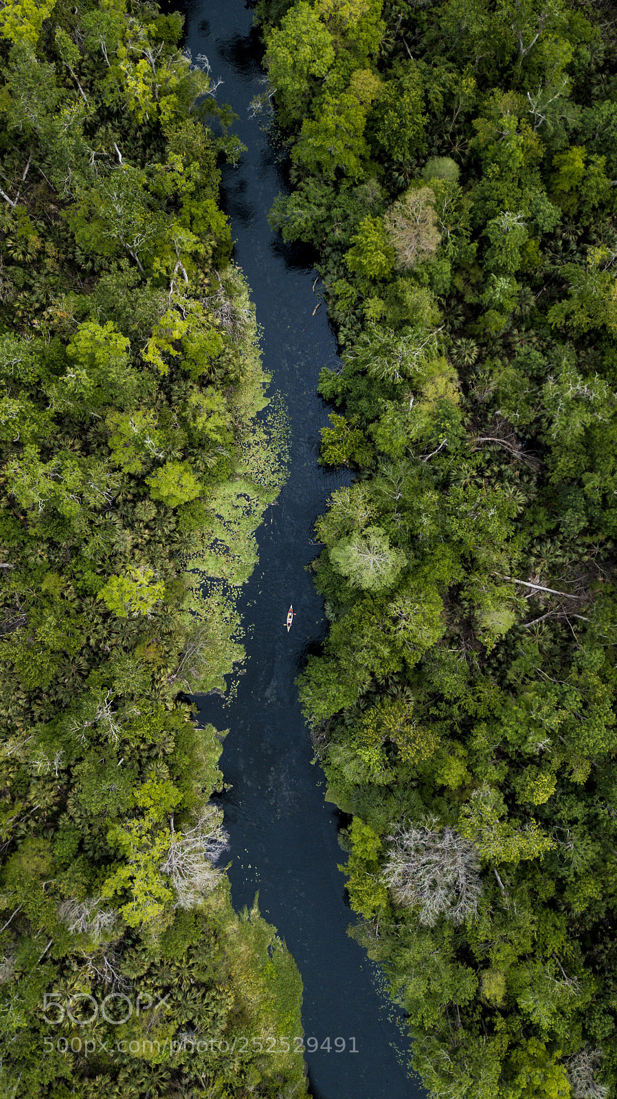 DJI FC220 sample photo. Wekiva kayaking photography