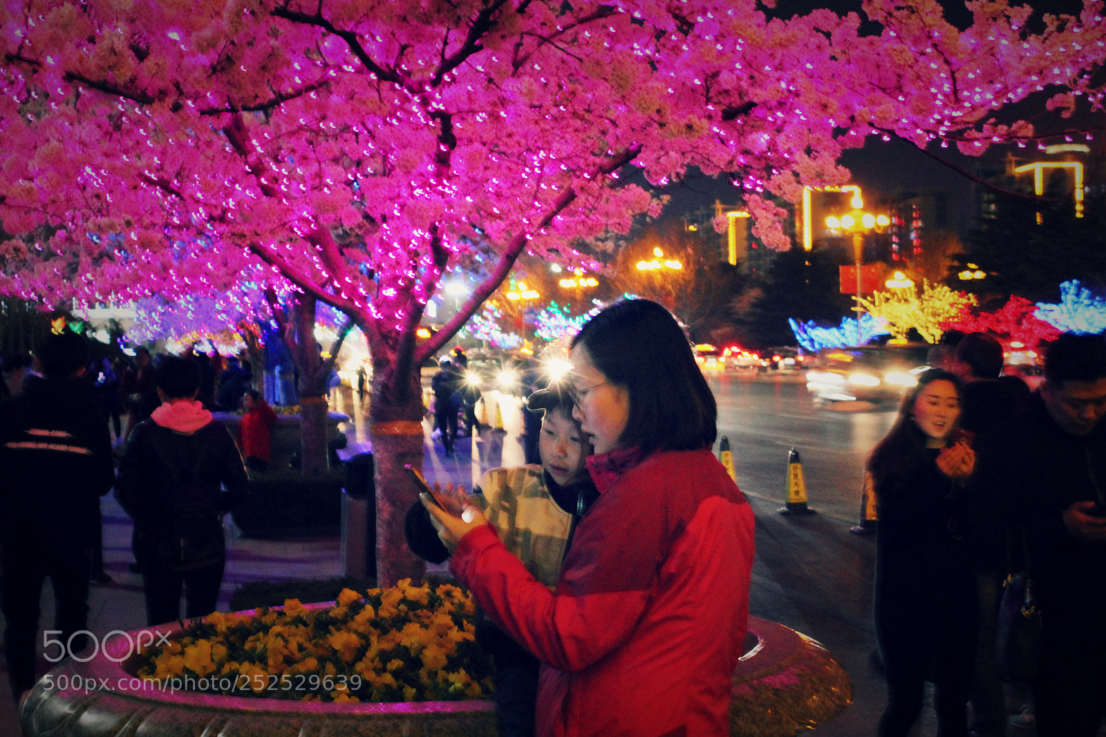 Canon EOS 600D (Rebel EOS T3i / EOS Kiss X5) sample photo. Enjoy the sakura photography