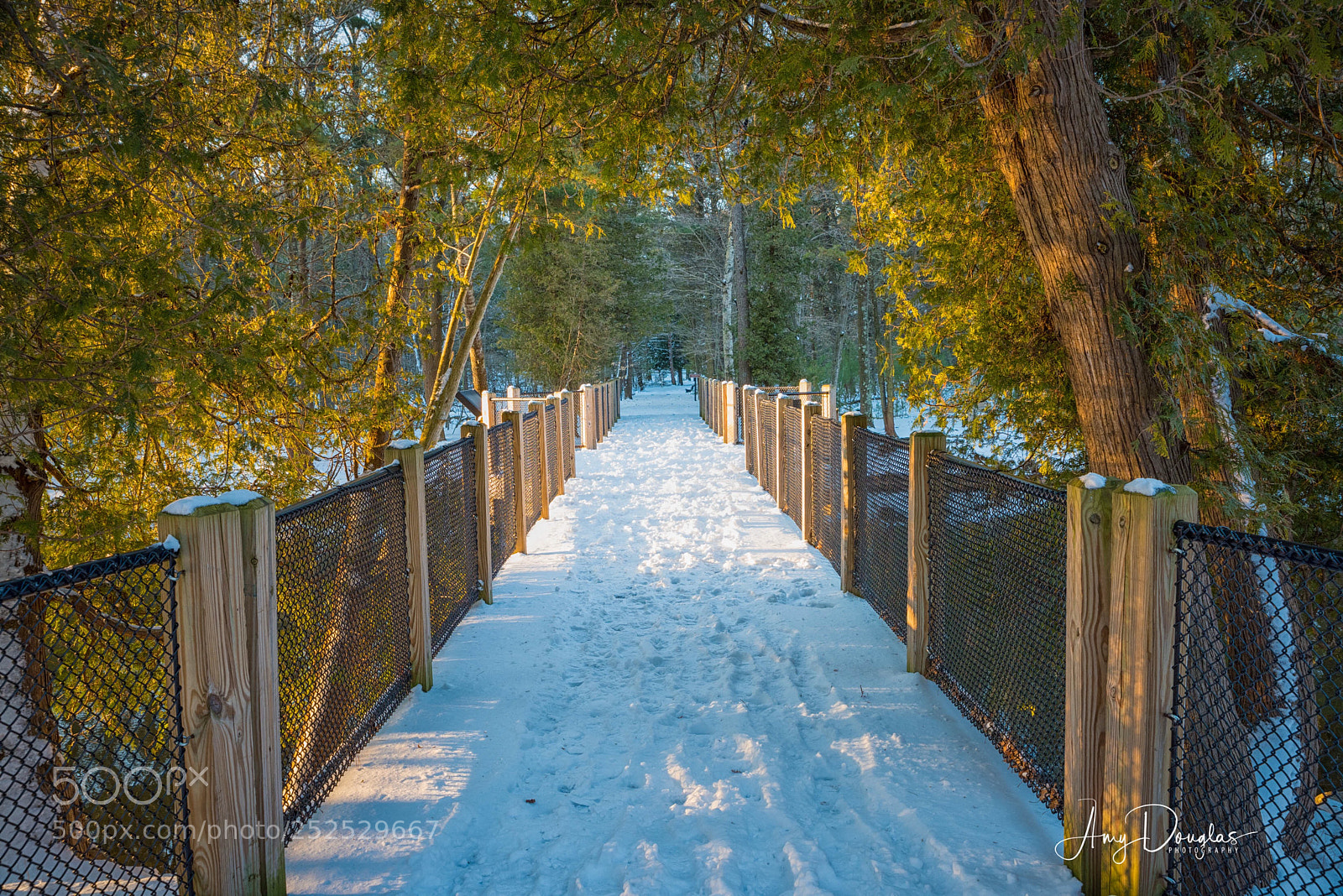 Nikon D810 sample photo. Untitled photography