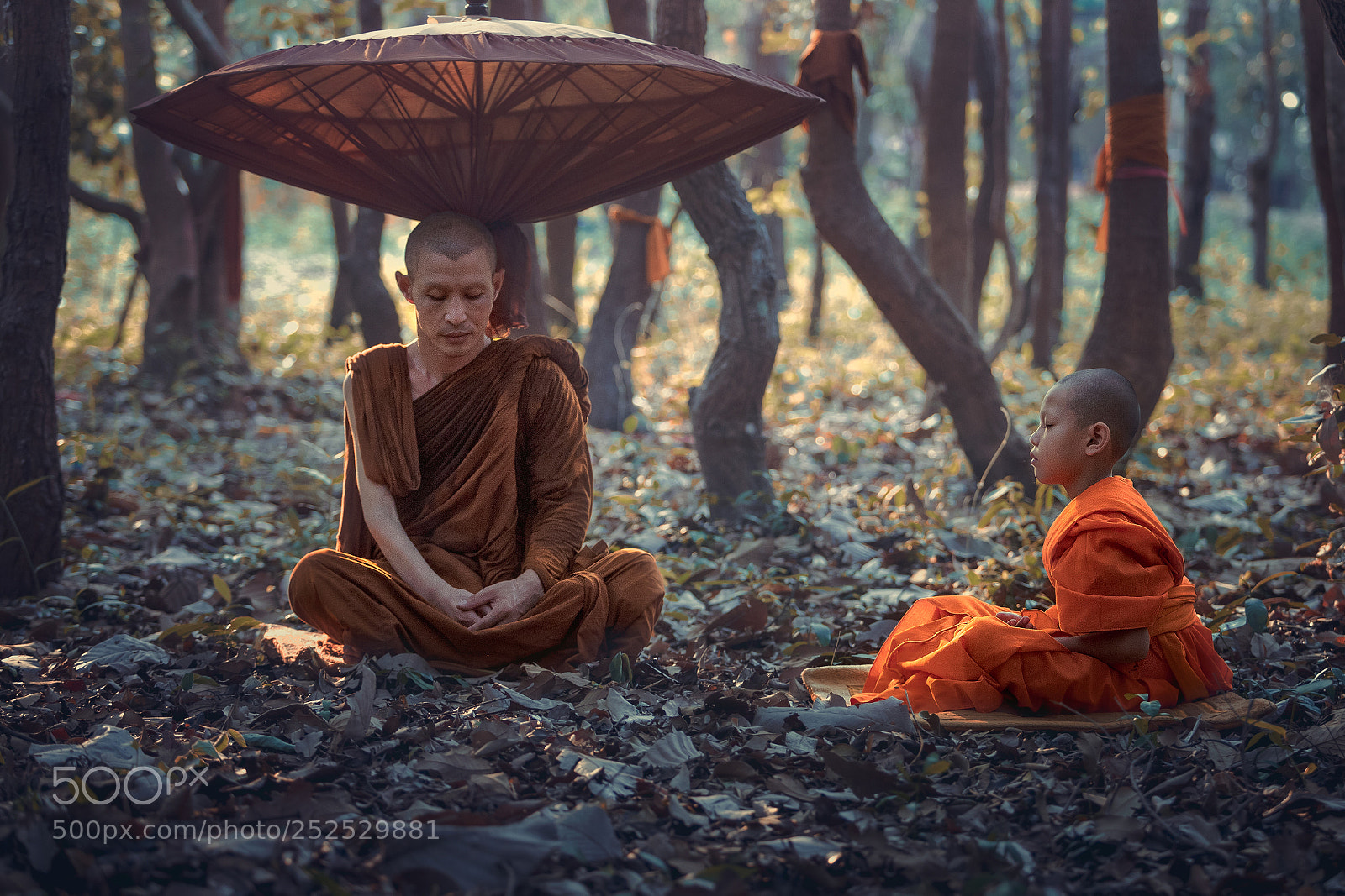 Canon EOS 6D Mark II sample photo. Meditation photography