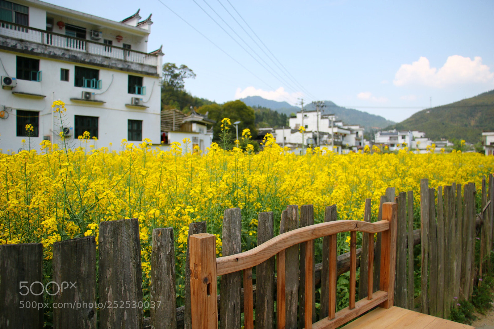 Canon EOS 750D (EOS Rebel T6i / EOS Kiss X8i) sample photo. 婺源油菜花海 photography