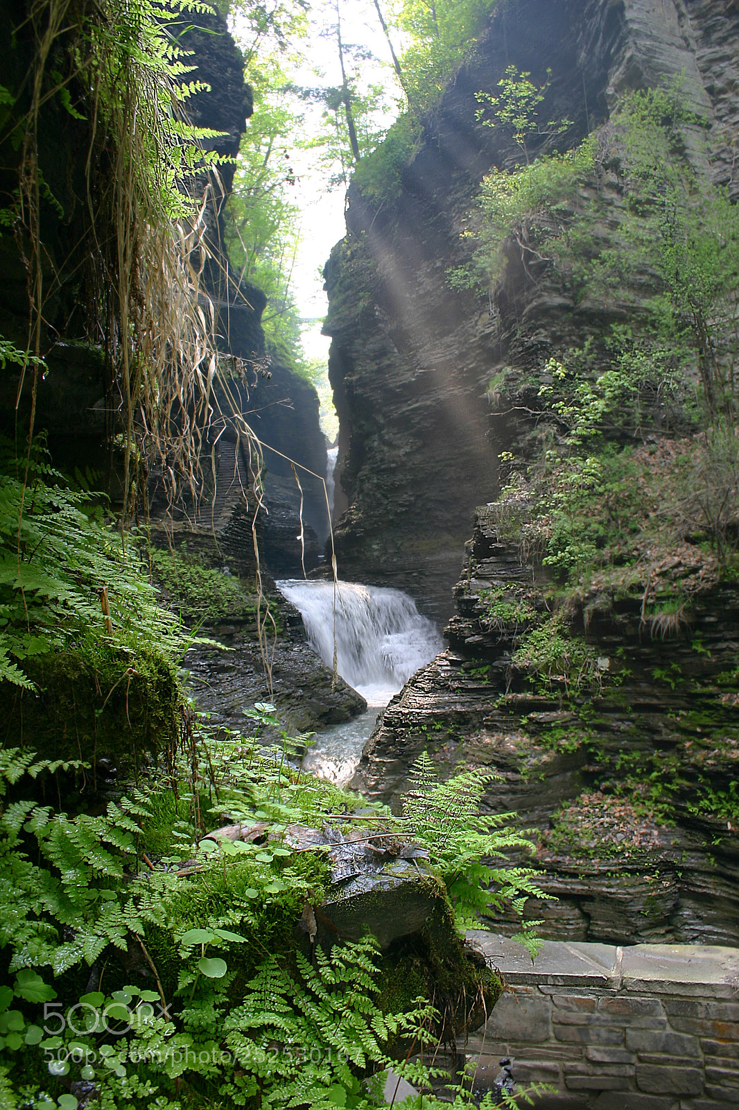 Canon EOS 300D (EOS Digital Rebel / EOS Kiss Digital) sample photo. Watkins glen, new york photography