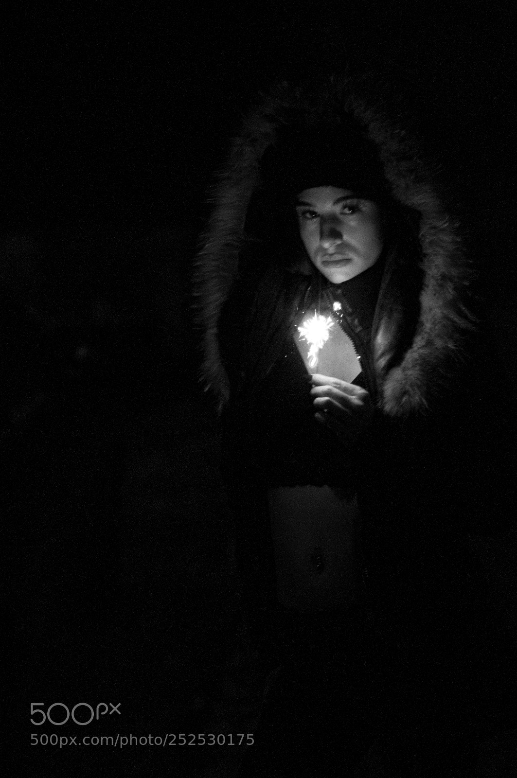 Nikon D300S sample photo. Opx_7796.jpg photography