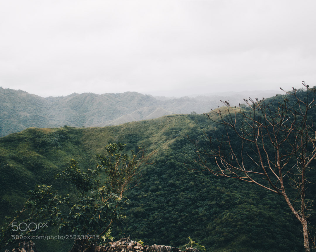 Canon EOS 750D (EOS Rebel T6i / EOS Kiss X8i) sample photo. Up on the mountains photography