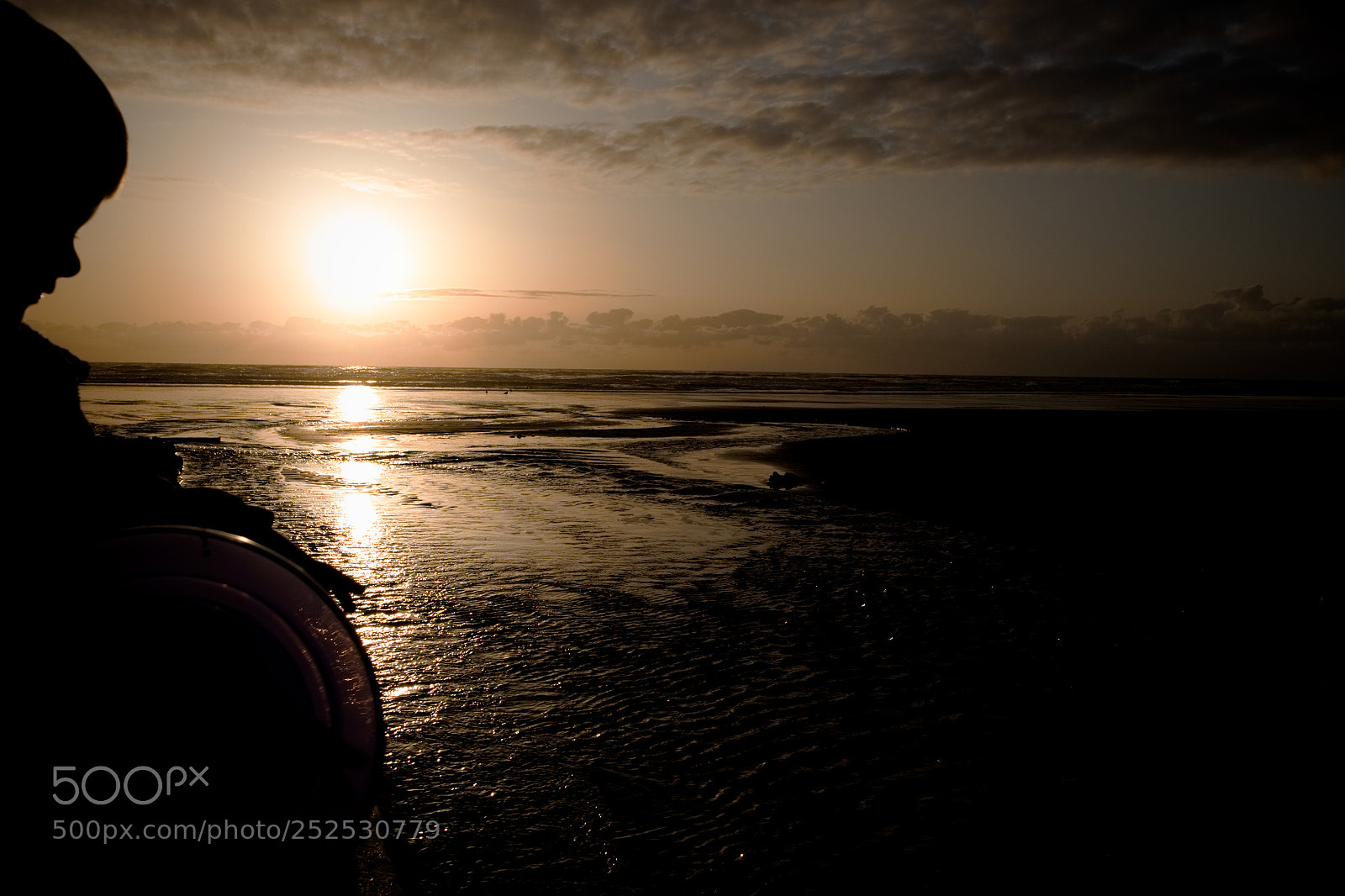 Fujifilm X-T10 sample photo. Sunset silhouette at the photography