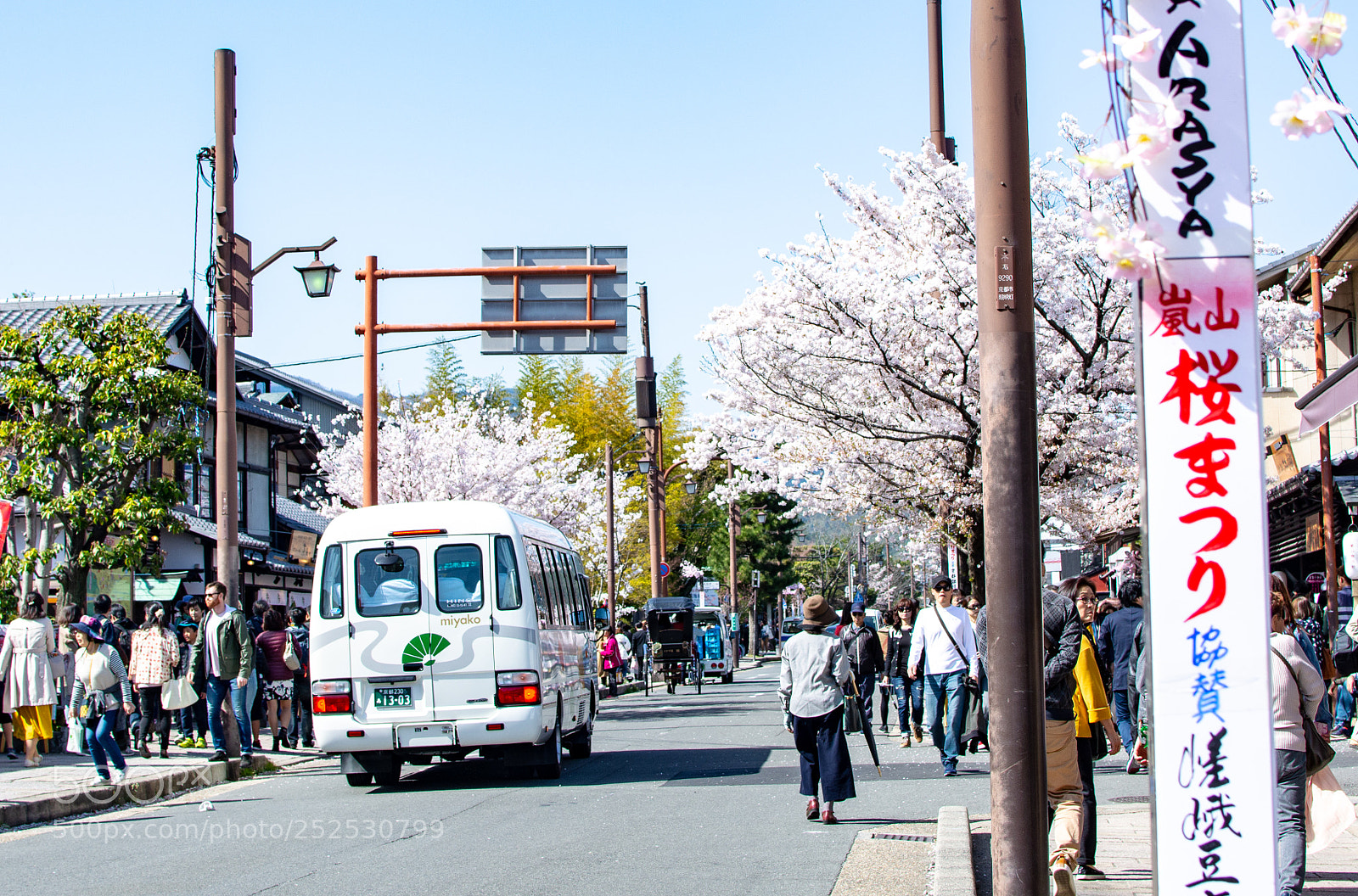 Nikon D5200 sample photo. Arashiyama photography