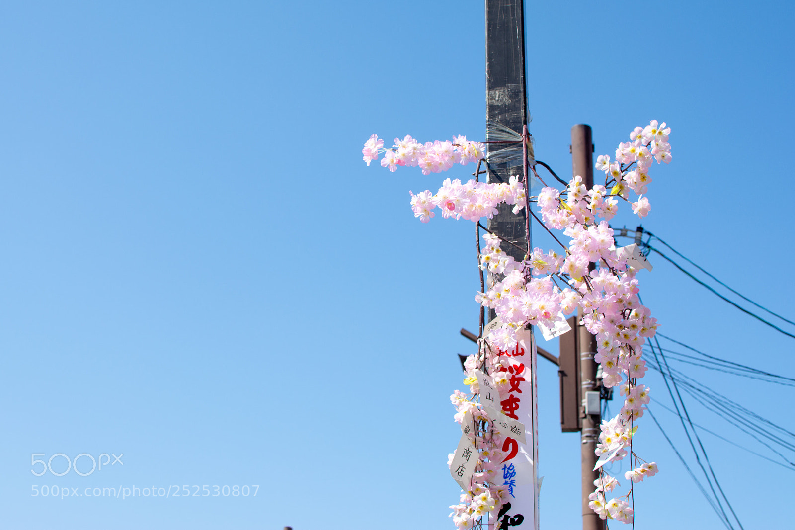 Nikon D5200 sample photo. Cherry blossoms photography