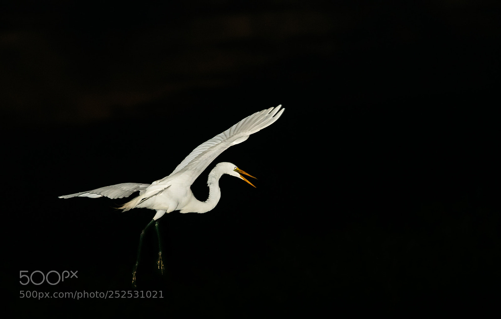 Canon EOS 7D Mark II sample photo. Night time landing photography