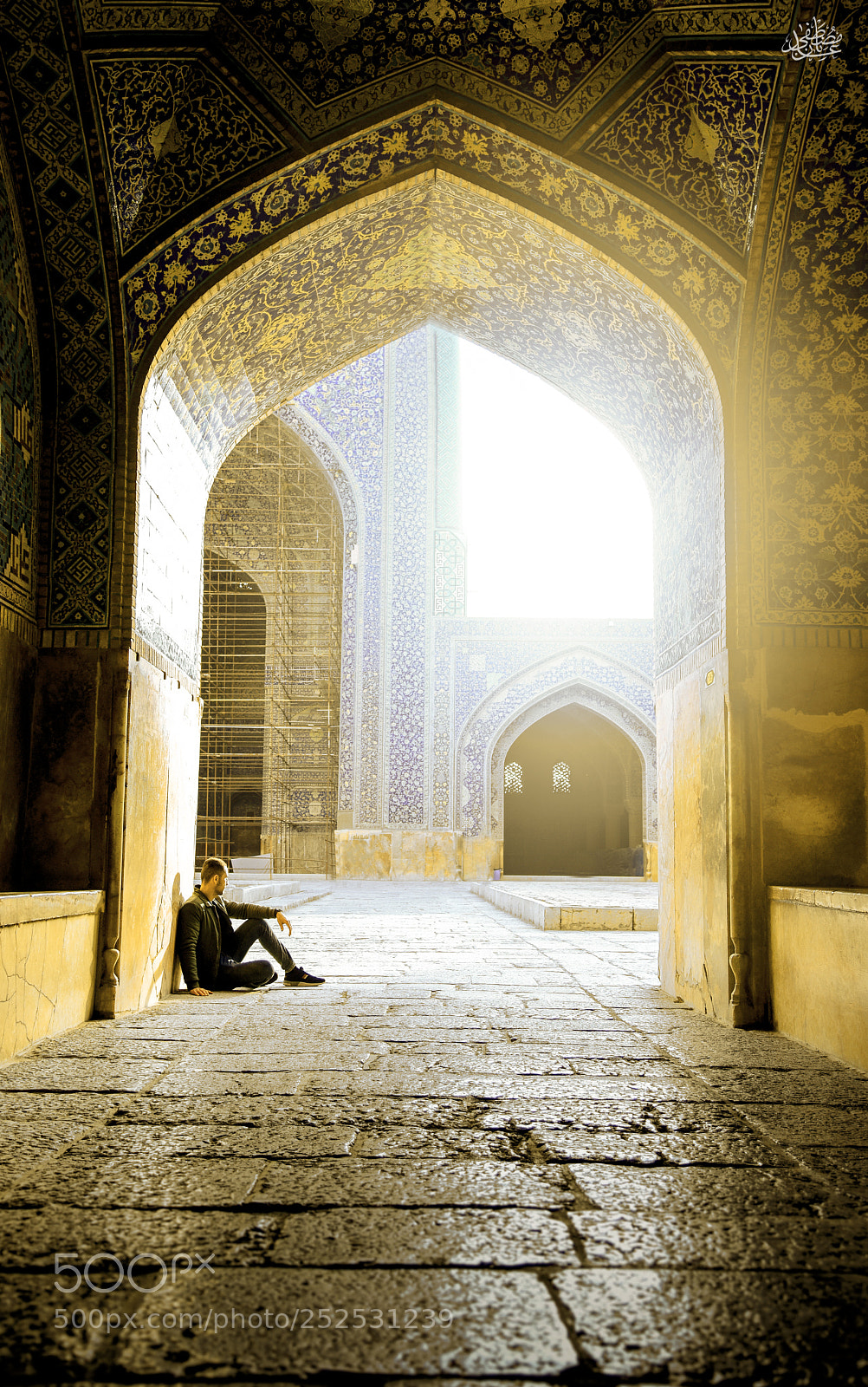 Nikon D810 sample photo. Mosque of the shah photography
