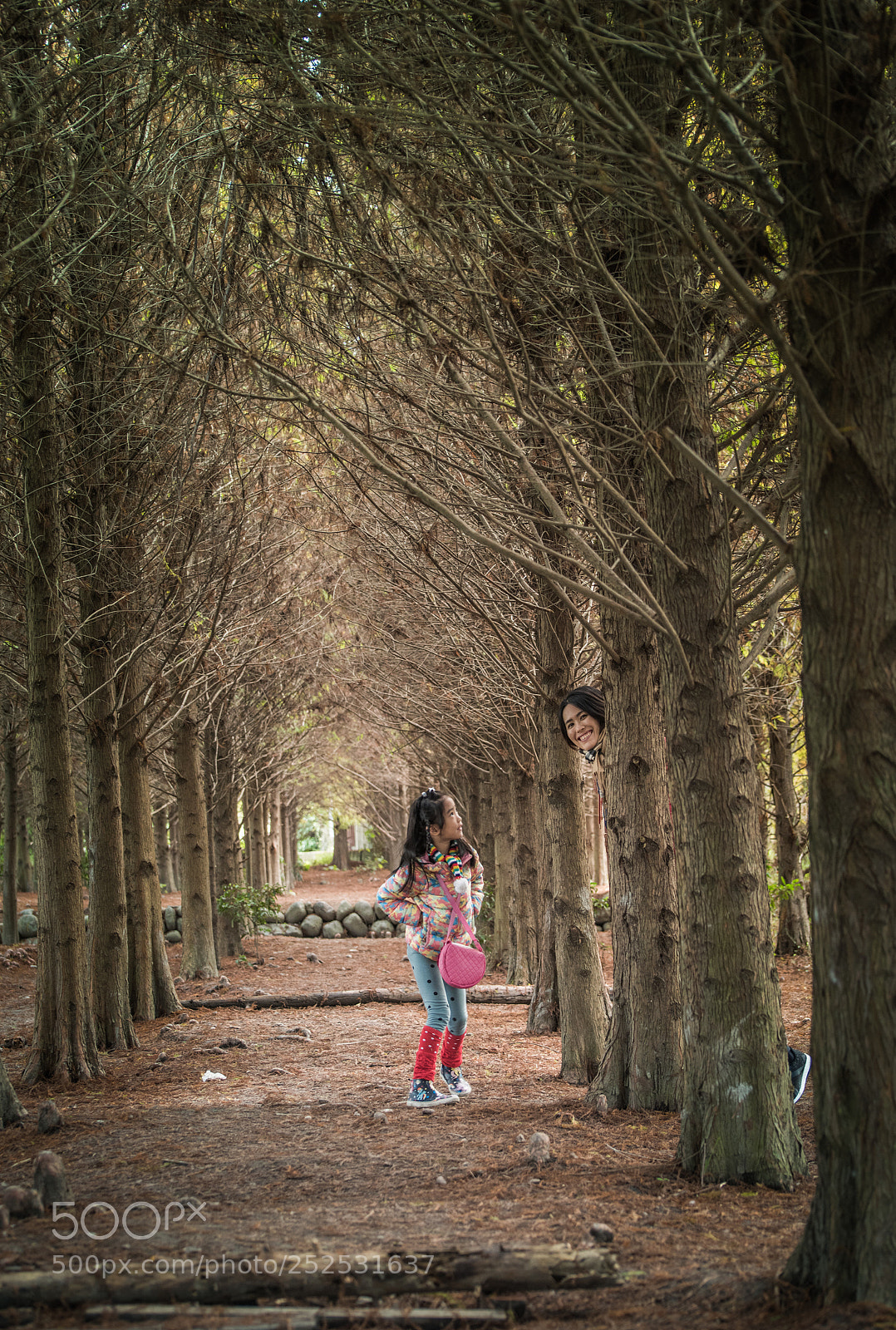 Nikon D810 sample photo. 台灣台中霧峰森林 photography