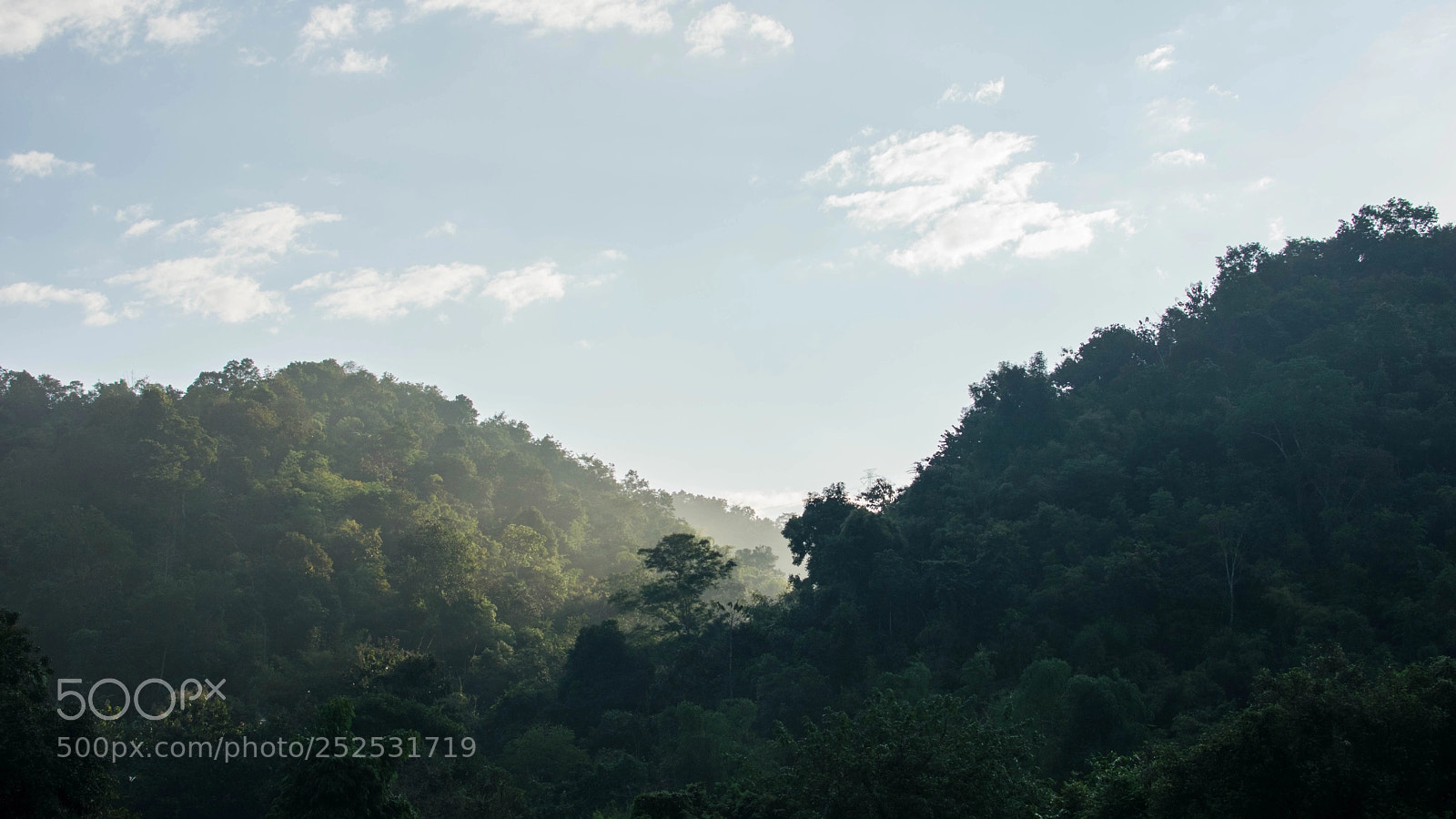Nikon D5300 sample photo. Wild photography