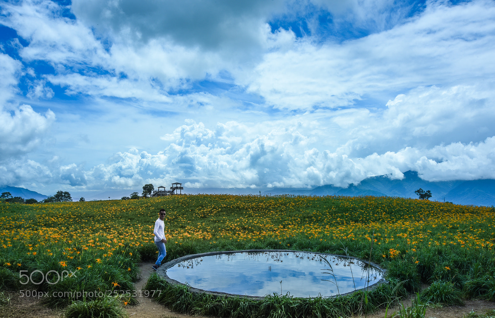 Nikon D810 sample photo. 花蓮六十石山 photography