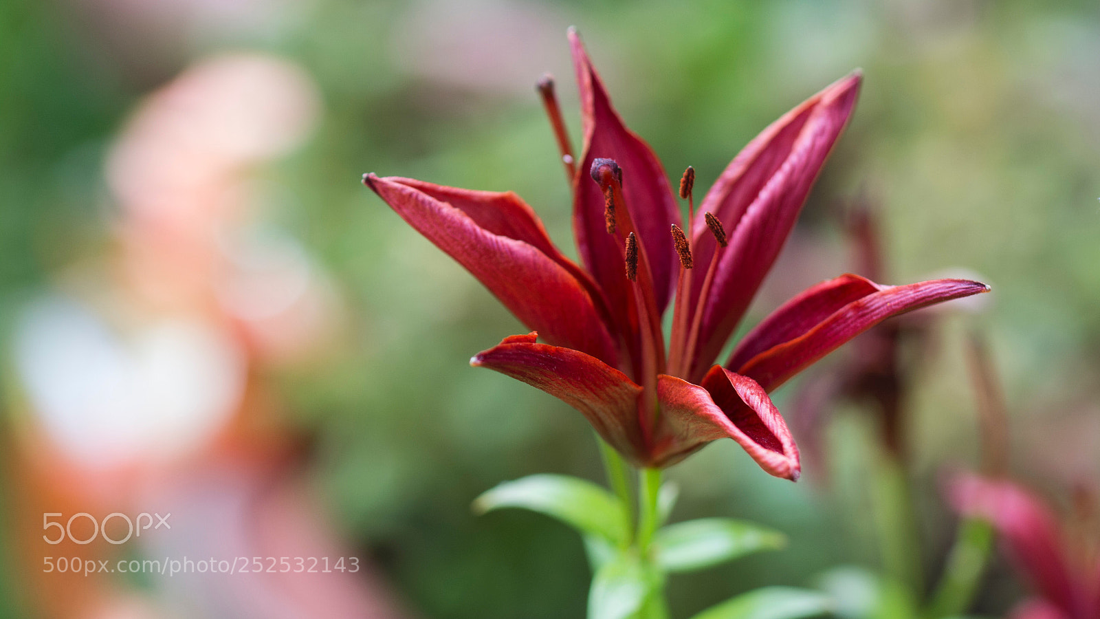 Nikon D7100 sample photo. Untitled photography