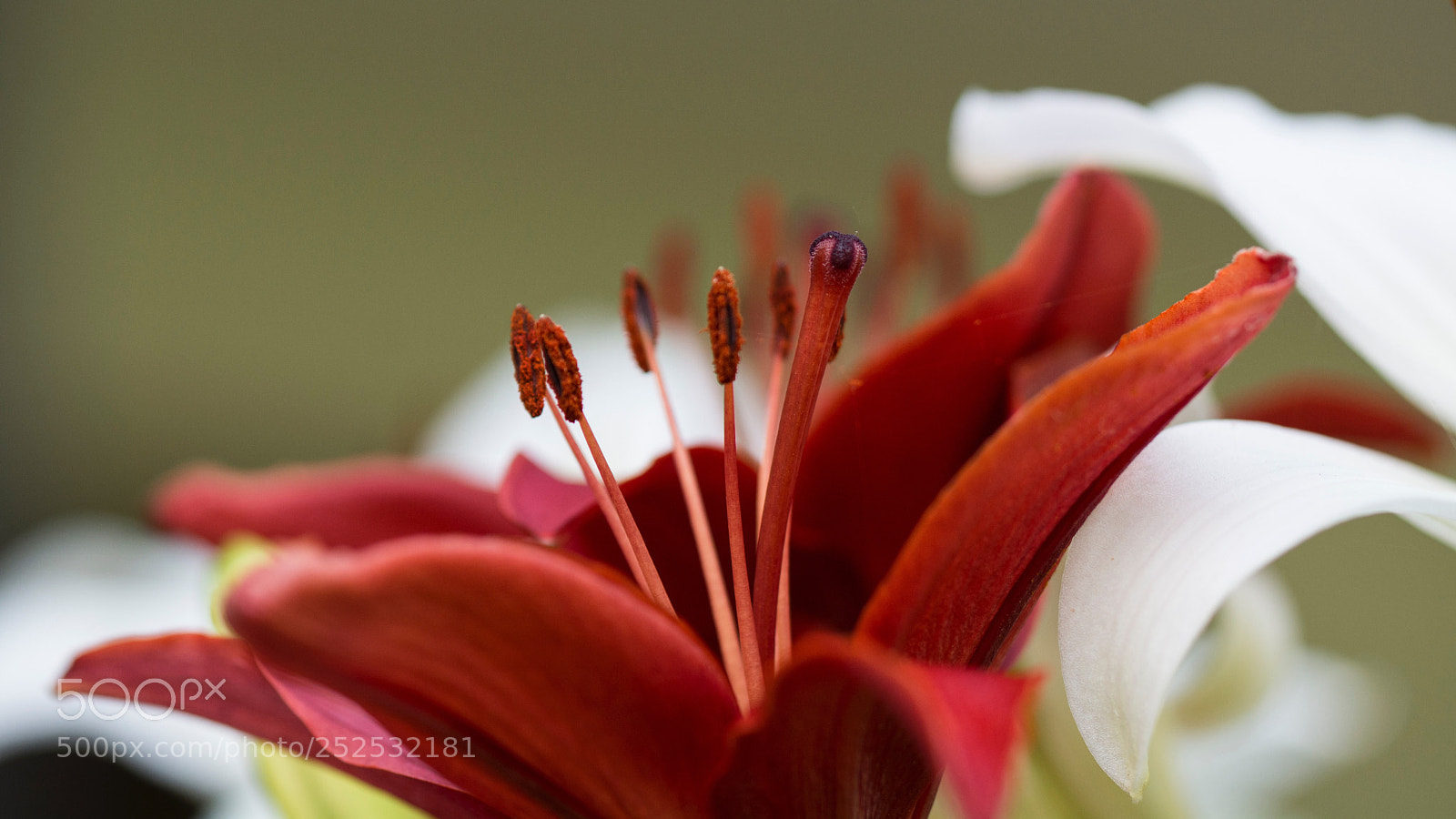Nikon D7100 sample photo. Untitled photography