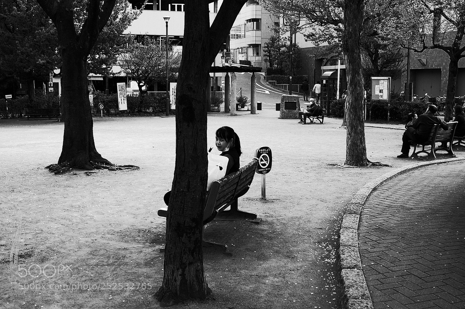 Ricoh GR II sample photo. Park photography