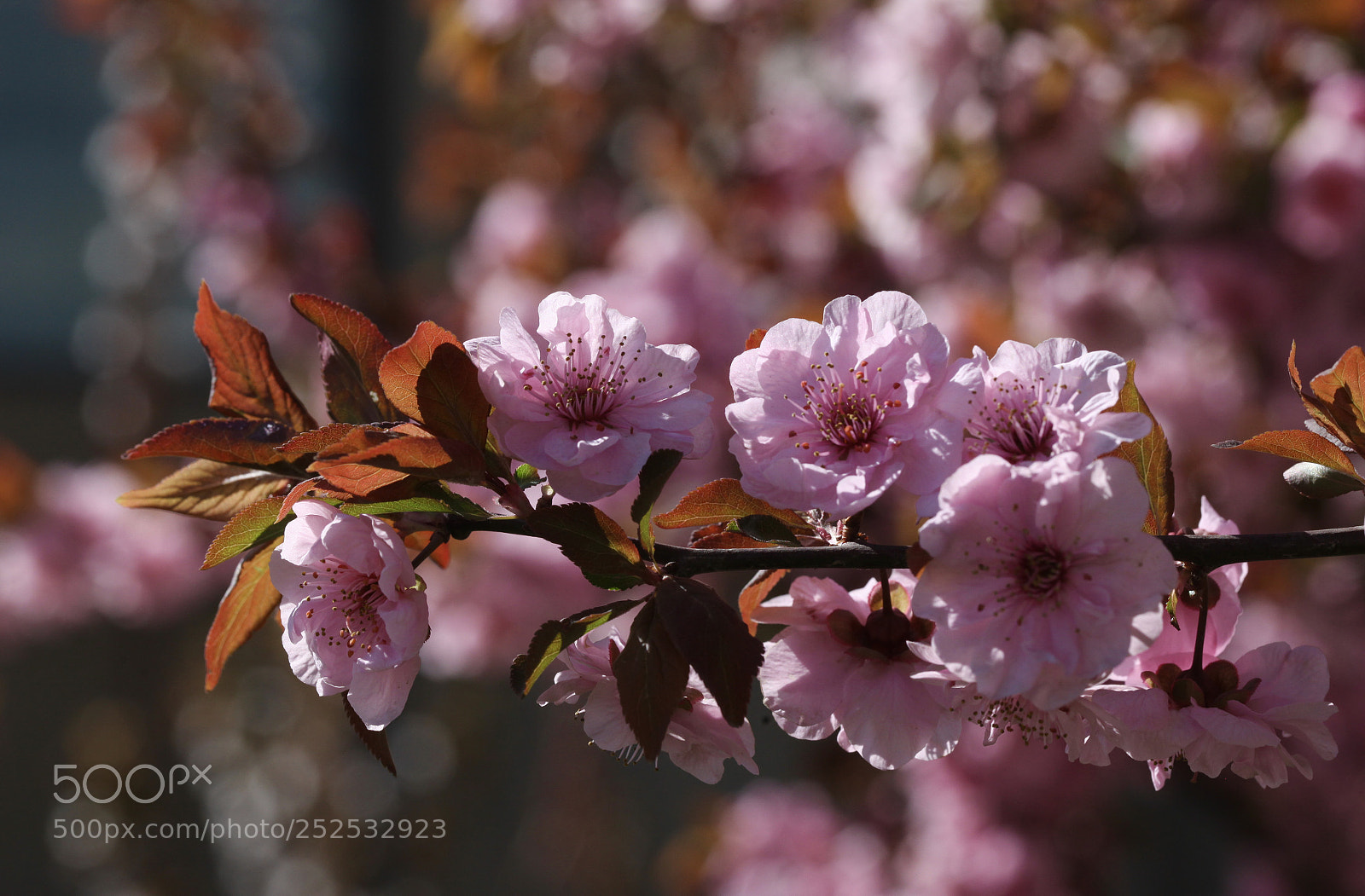 Canon EOS 5D Mark II sample photo. Untitled photography