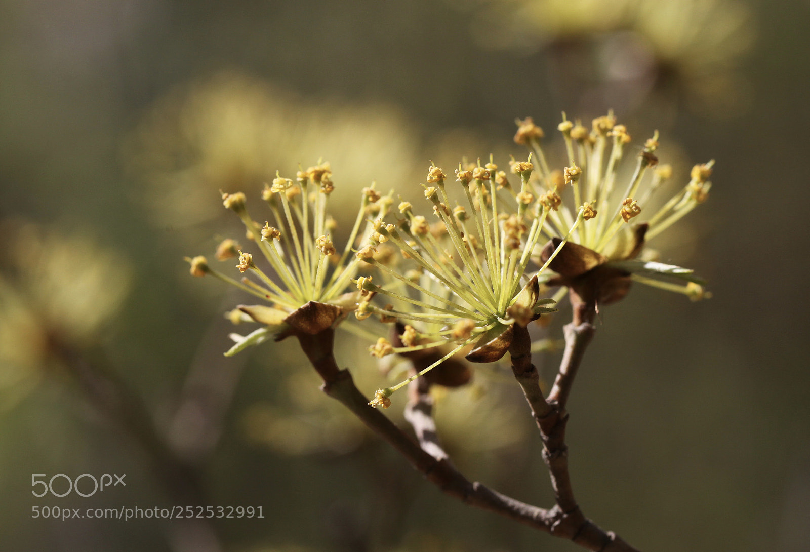 Canon EOS 5D Mark II sample photo. Untitled photography