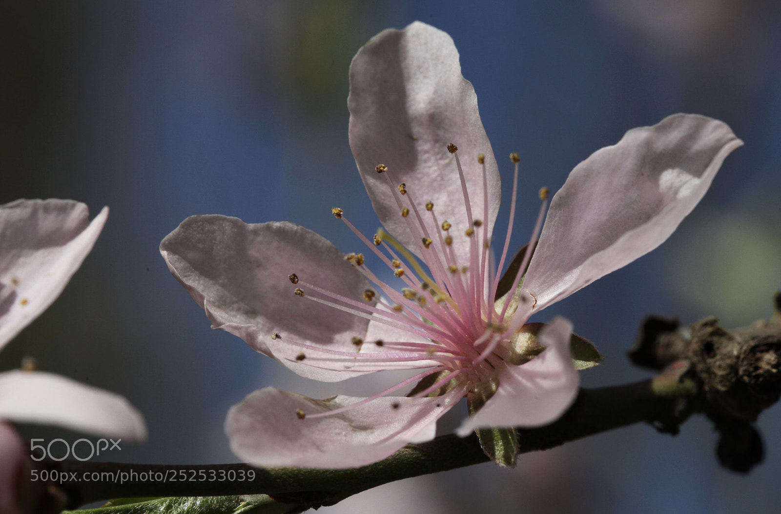 Canon EOS 5D Mark II sample photo. Untitled photography