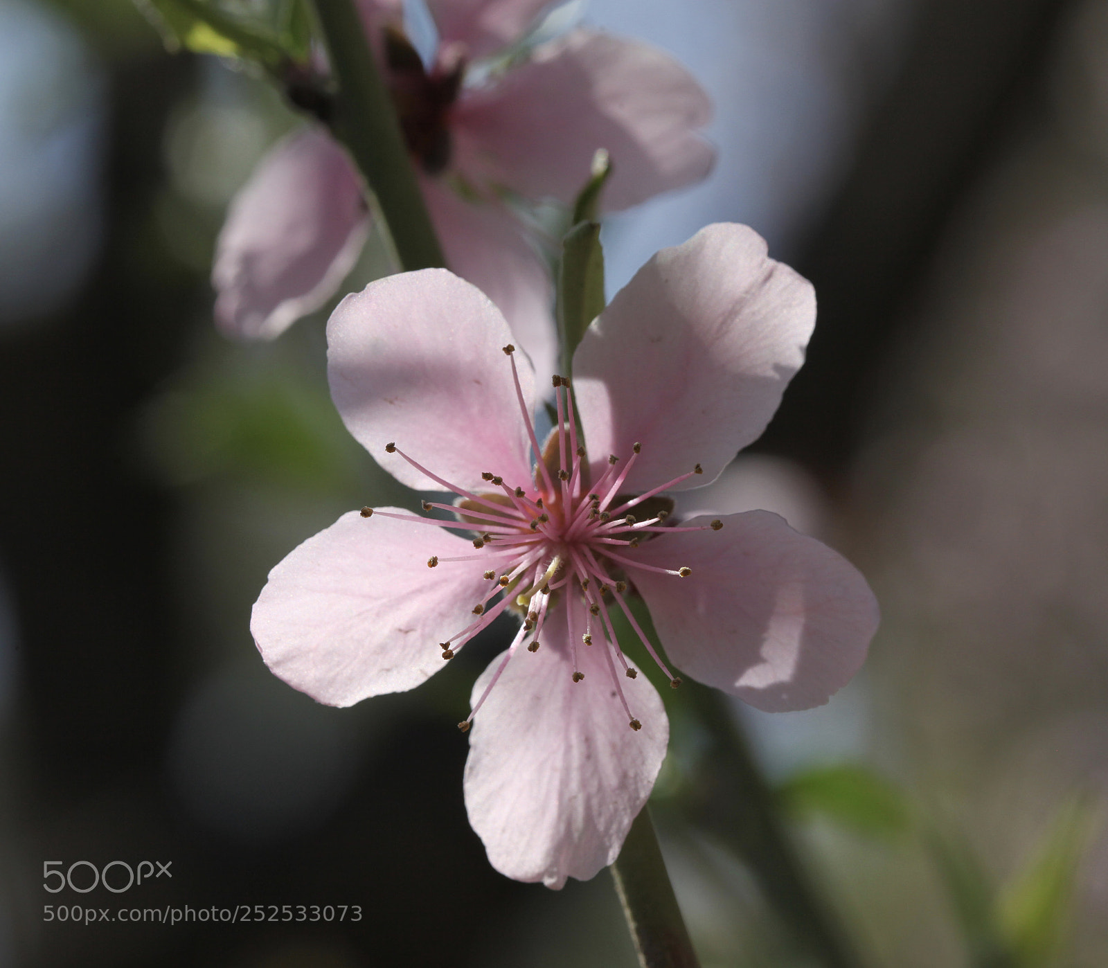 Canon EOS 5D Mark II sample photo. Untitled photography