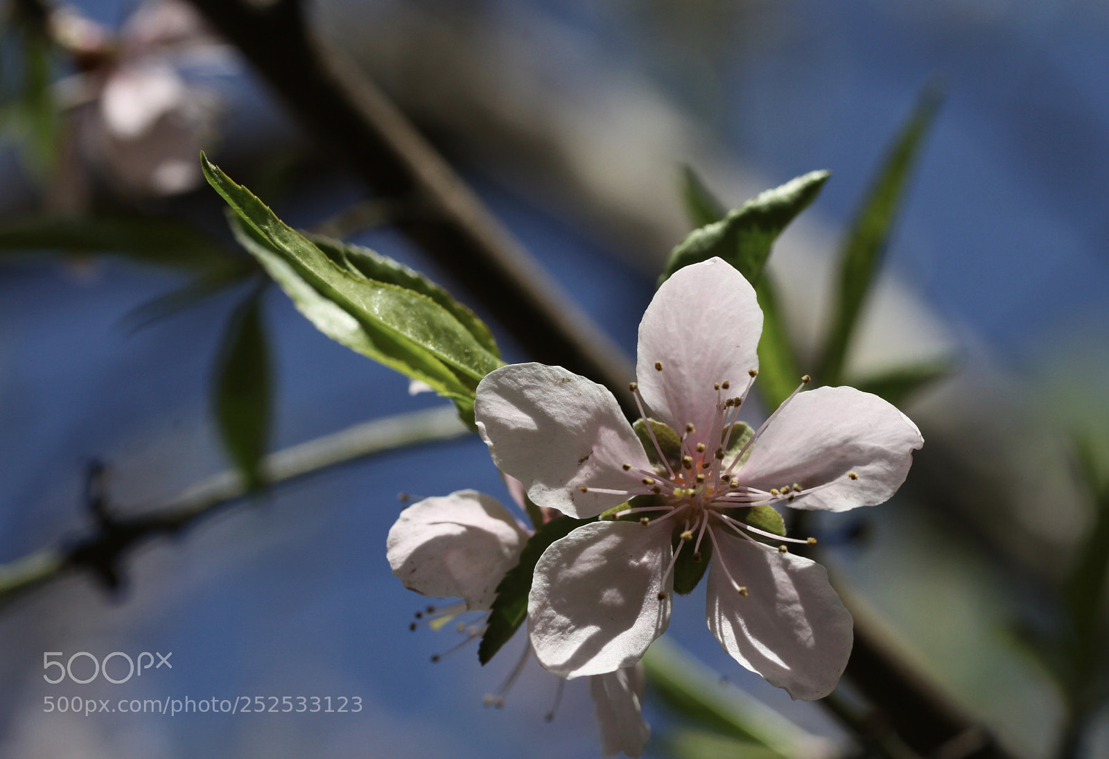 Canon EOS 5D Mark II sample photo. Untitled photography
