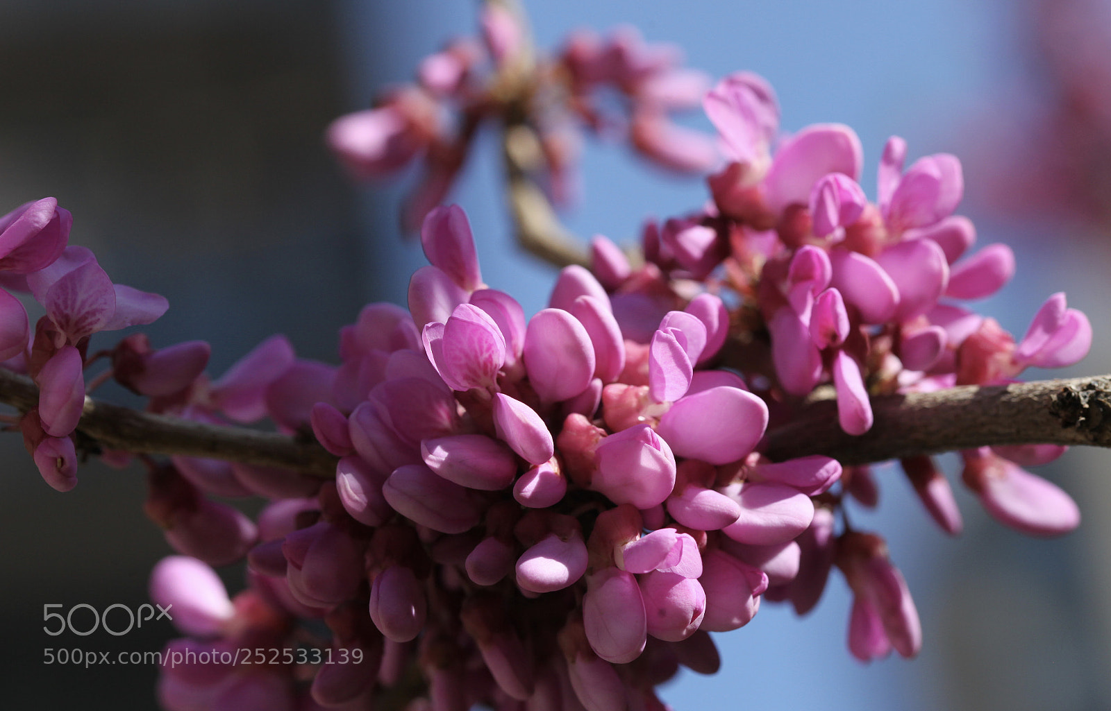 Canon EOS 5D Mark II sample photo. Untitled photography