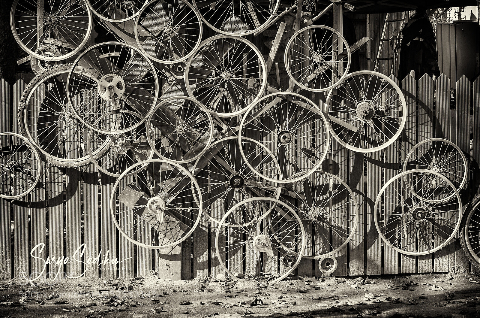 Nikon D7000 sample photo. Spoke wheels photography