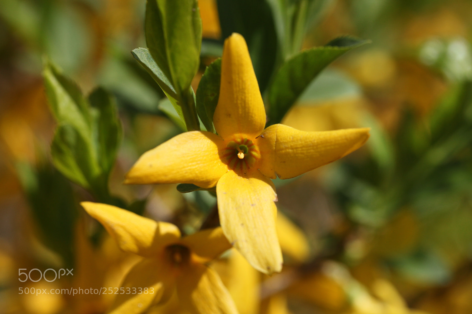 Canon EOS 5D Mark II sample photo. Untitled photography