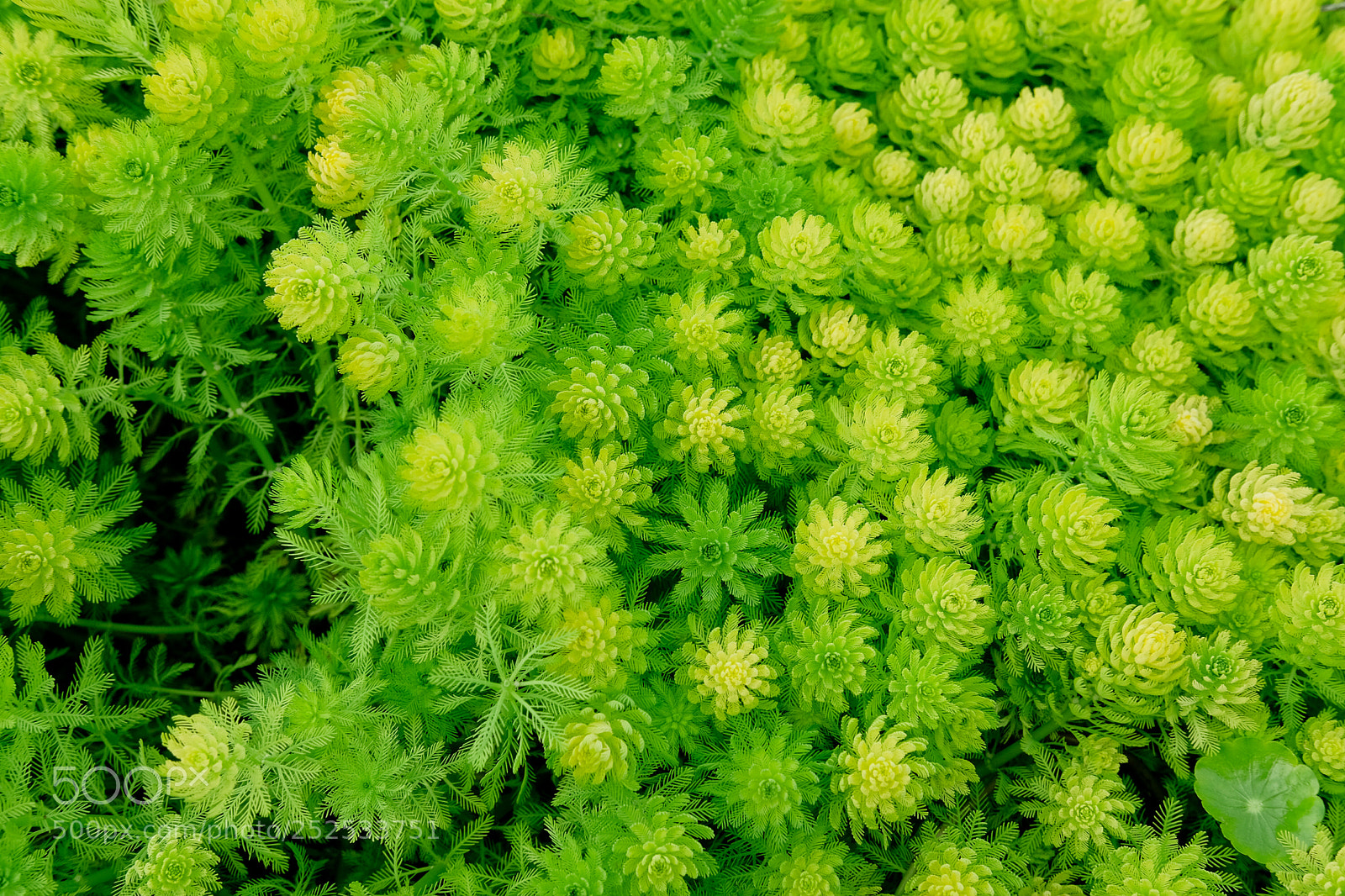 Fujifilm X-T20 sample photo. Untitled photography