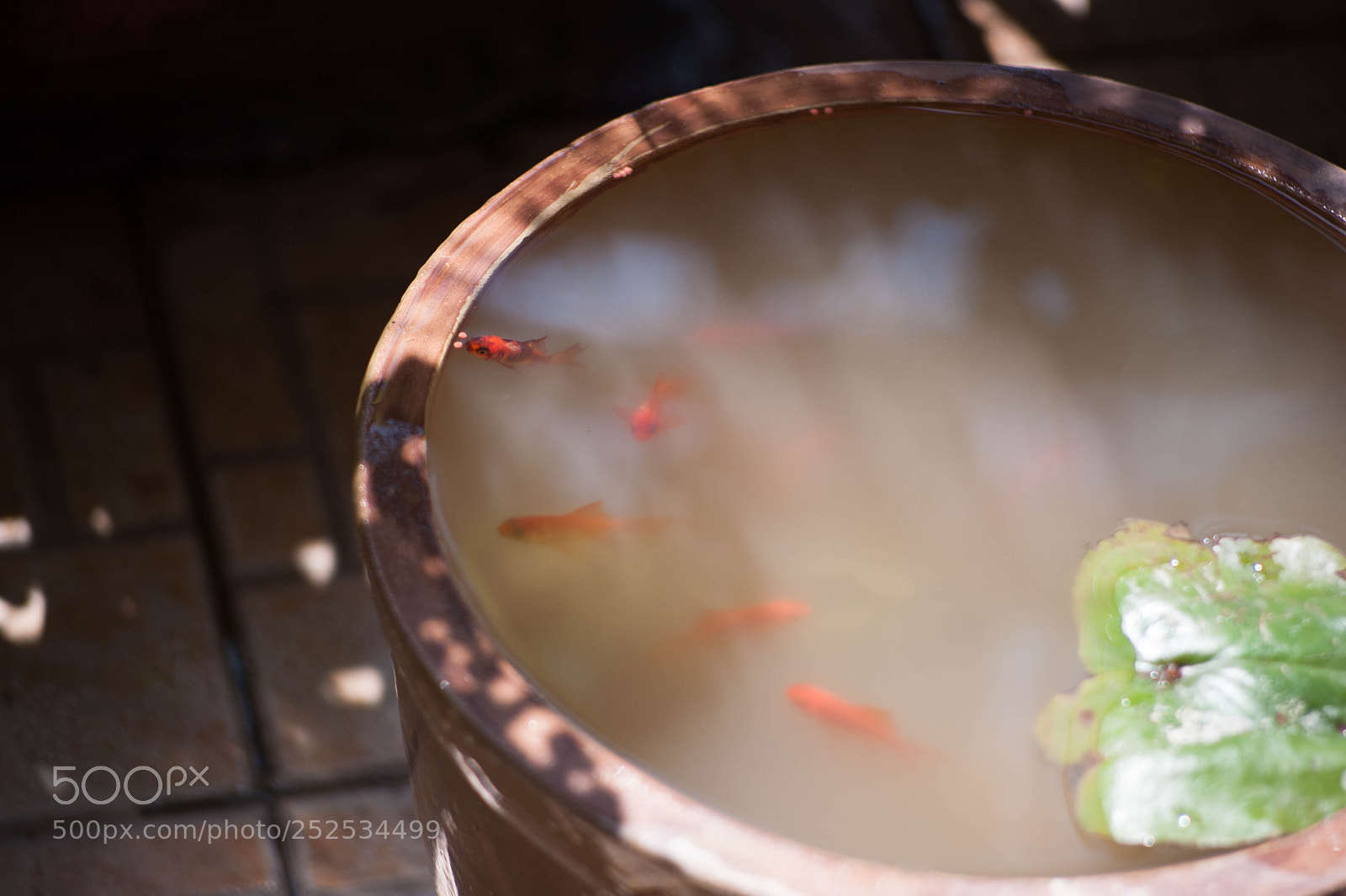 Nikon D700 sample photo. Breakfast photography